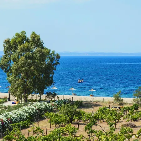 Coral Blue Hotel