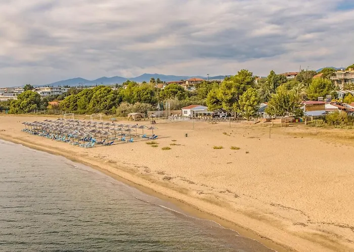 Отель Coral Blue